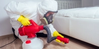 Détection punaises de lit Metz 57050 – Expertise dans le Moselle