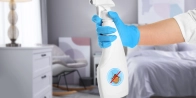 Détection punaises de lit Colmar 68000 – Expertise dans le Haut-Rhin