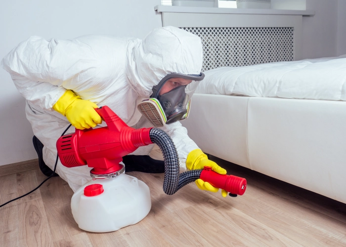 Détection punaises de lit Metz 57050 – Expertise dans le Moselle